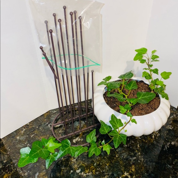 Glove Drying Stand bottle siliconeBag kitchen dryrack Ecofriendly Dazzling Leelo - Picture 10 of 11